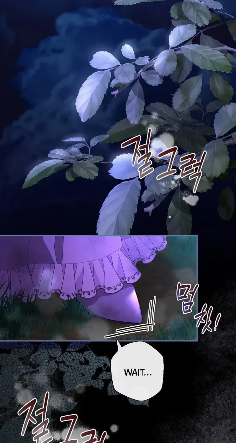 The Blooming Violet in the Back Garden Chapter 2 page 95 - 