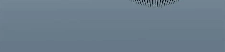 The Blooming Violet in the Back Garden Chapter 25 page 111 - 