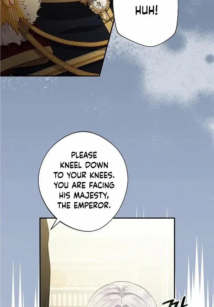 The Blooming Violet in the Back Garden Chapter 6 page 47 - 