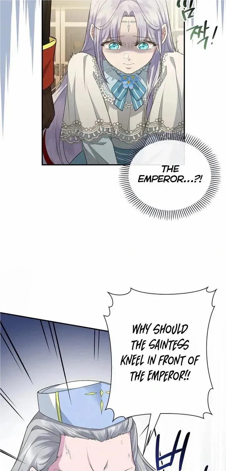 The Blooming Violet in the Back Garden Chapter 6 page 48 - 