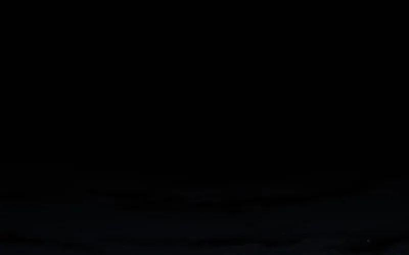 The Bondservant Chapter 60 page 51 - 