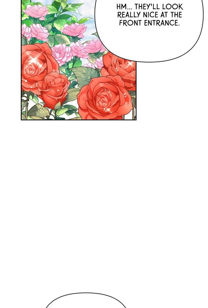 The Boomerang Duke Chapter 1 page 5 - 