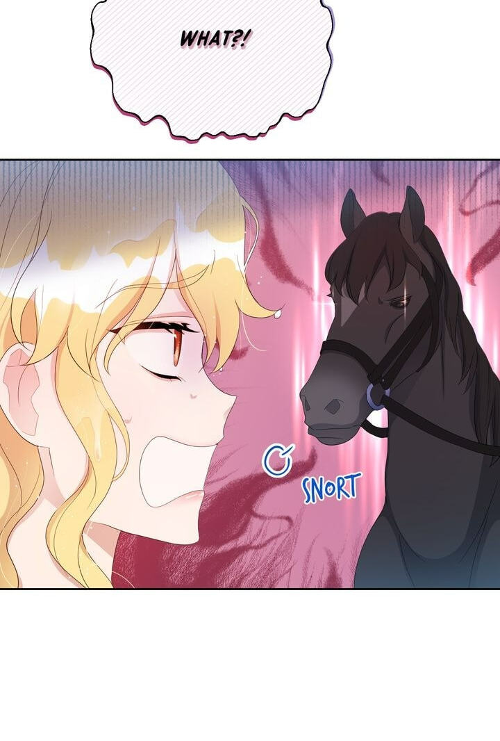 The Boomerang Duke Chapter 15 page 62 - 