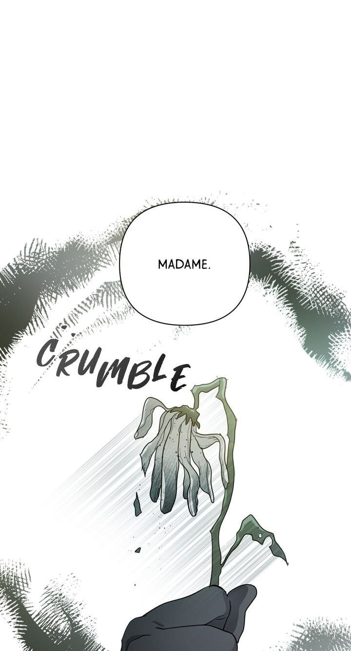 The Boomerang Duke Chapter 6 page 88 - 