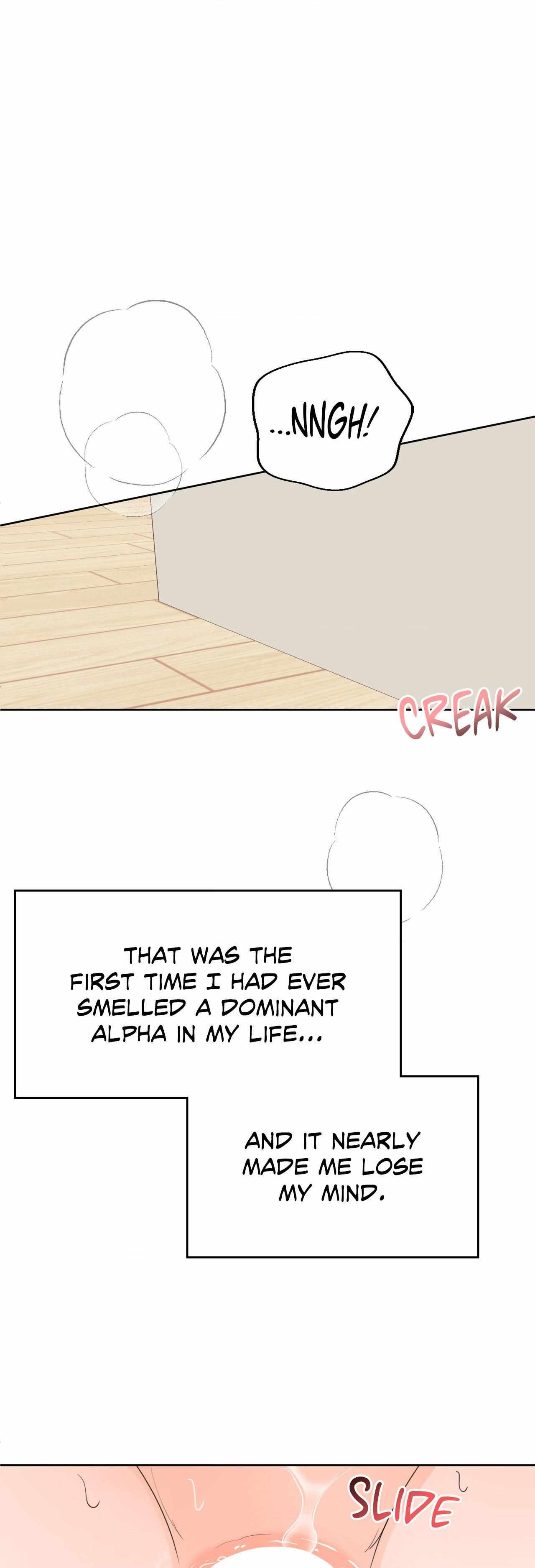 The Boundary of Fragrance Chapter 16 page 37 - 