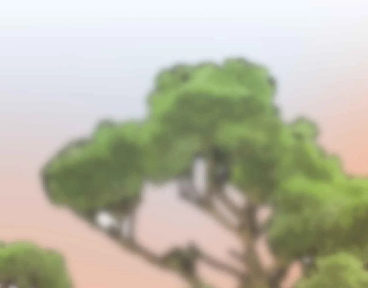 The Boundary of Fragrance Chapter 2.5 page 144 - 