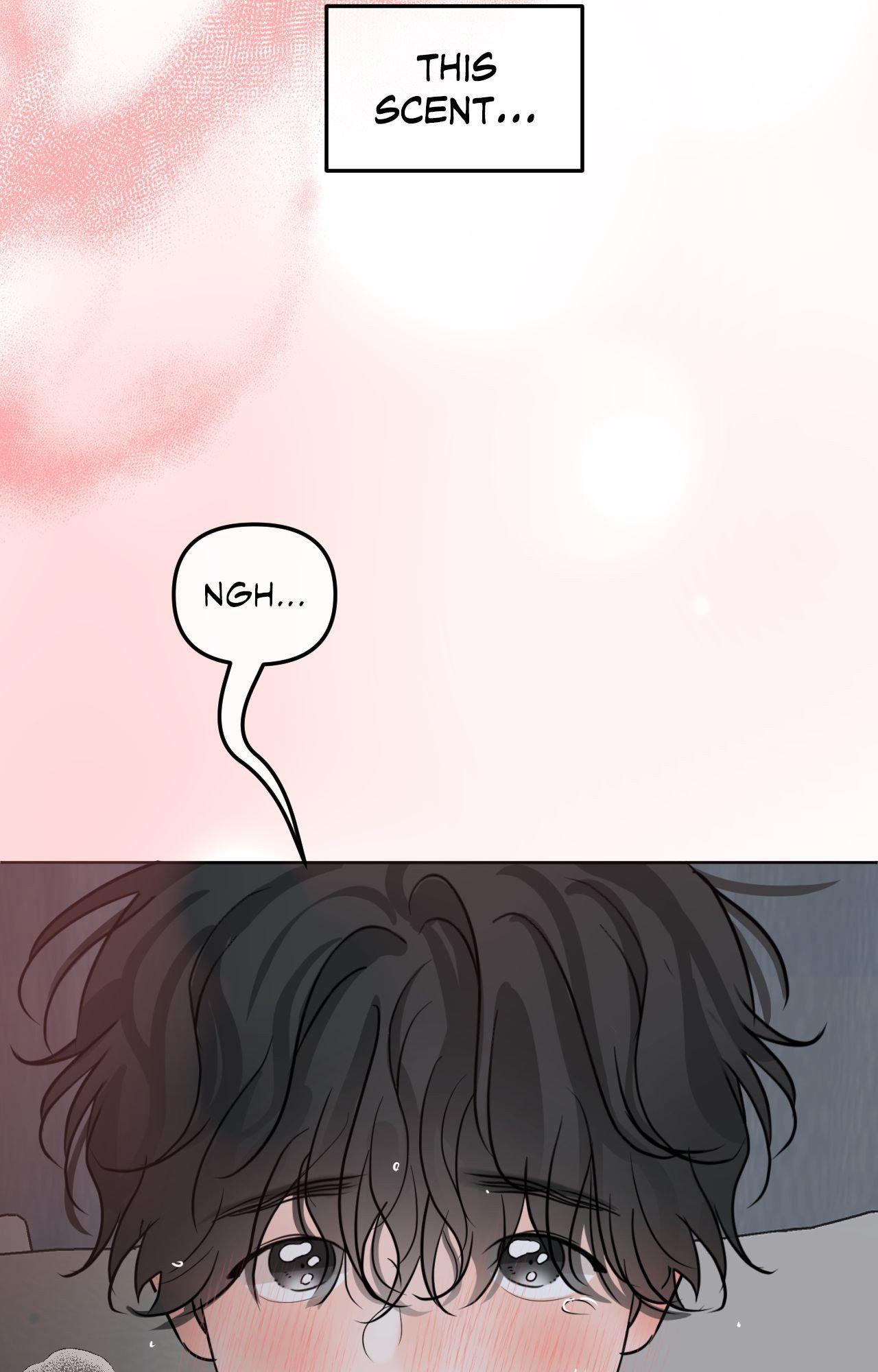 The Boundary of Fragrance Chapter 86 page 68 - 