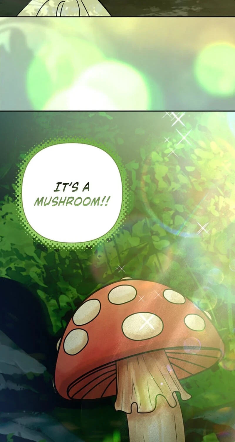 The Bratty Lady Throws a Tantrum Chapter 47 page 76 - 