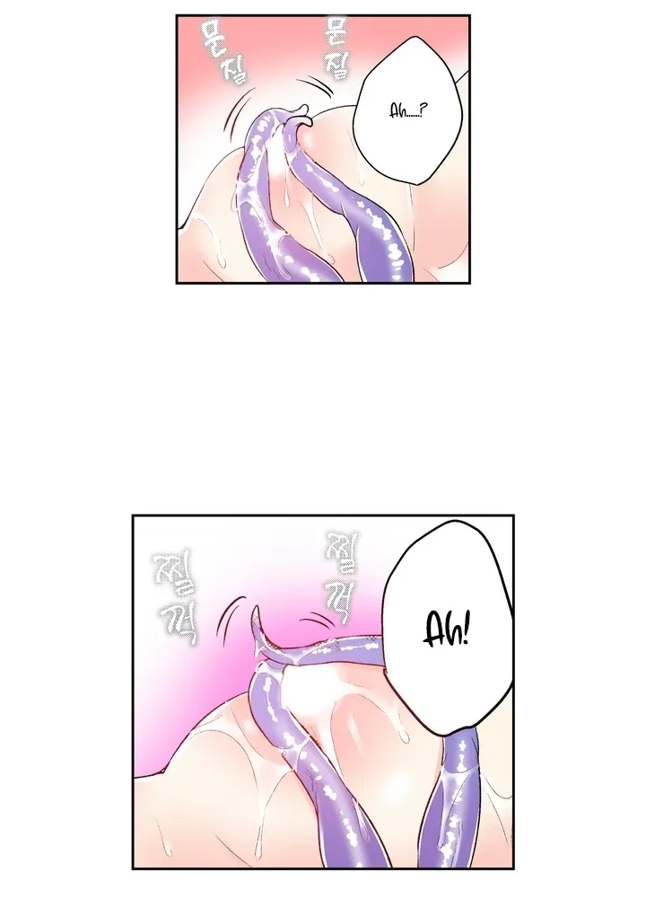 The Bride of the Calamity God Chapter 11 page 28 - 
