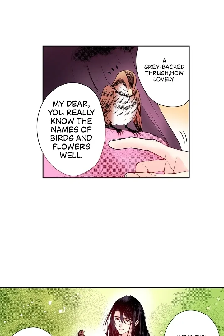 The Bride of the Calamity God Chapter 17 page 22 - 