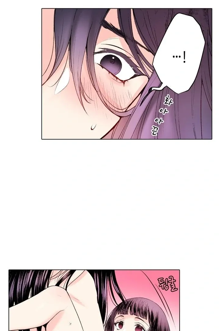 The Bride of the Calamity God Chapter 19 page 5 - 