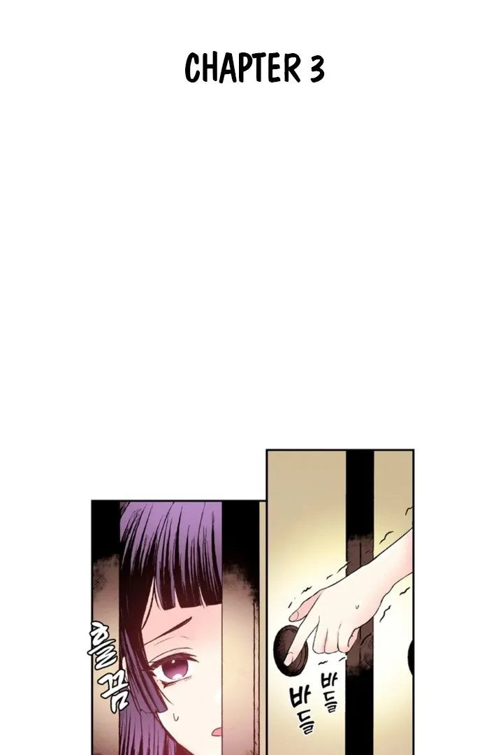 The Bride of the Calamity God Chapter 3 page 3 - 
