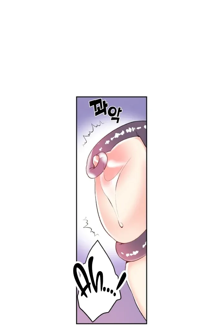 The Bride of the Calamity God Chapter 3 page 24 - 