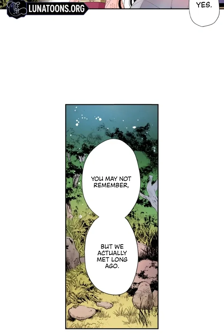 The Bride of the Calamity God Chapter 8 page 11 - 