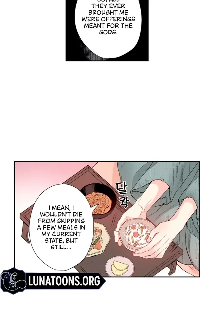The Bride of the Calamity God Chapter 9 page 22 - 