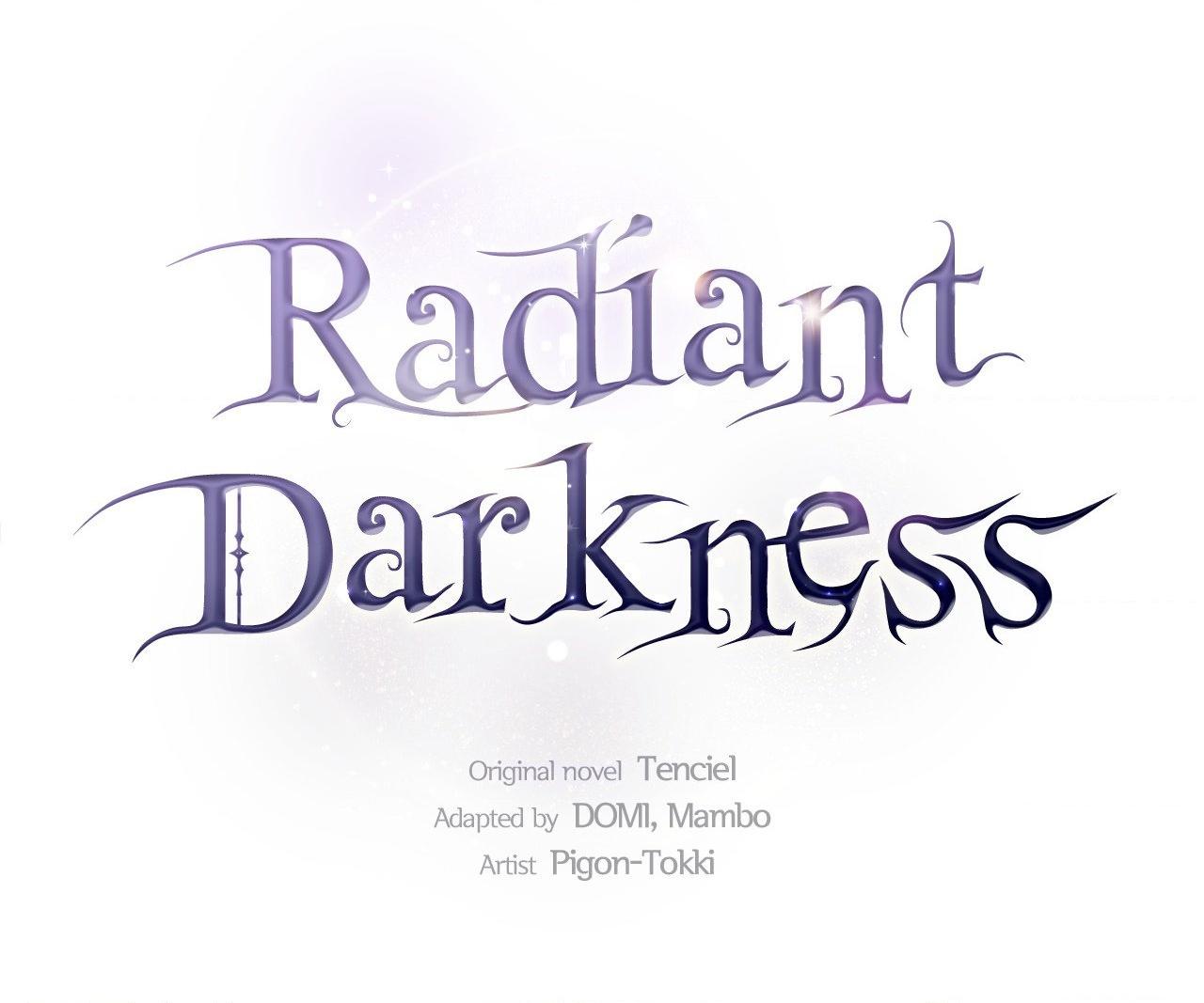 The Brilliant Darkness Chapter 40 page 9 - 