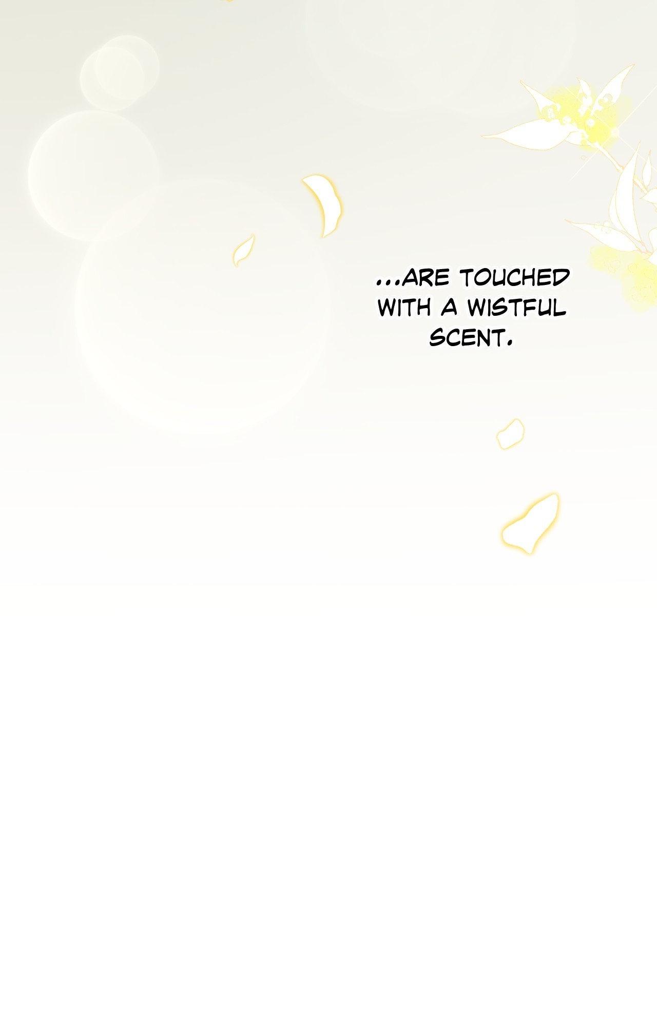 The Brilliant Darkness Chapter 43 page 71 - 