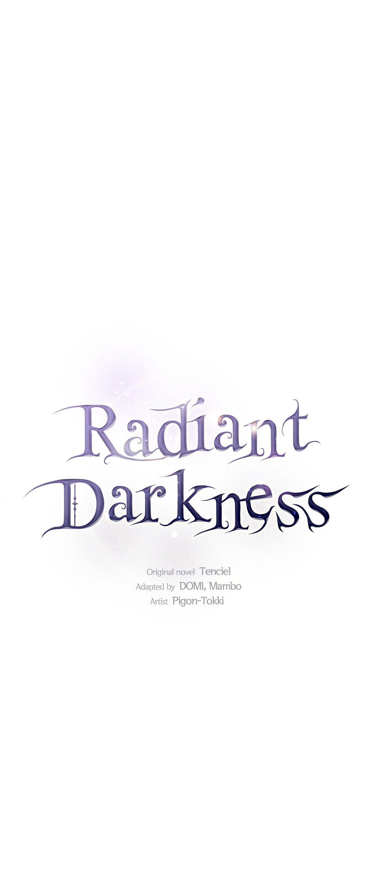 The Brilliant Darkness Chapter 47 page 2 - 