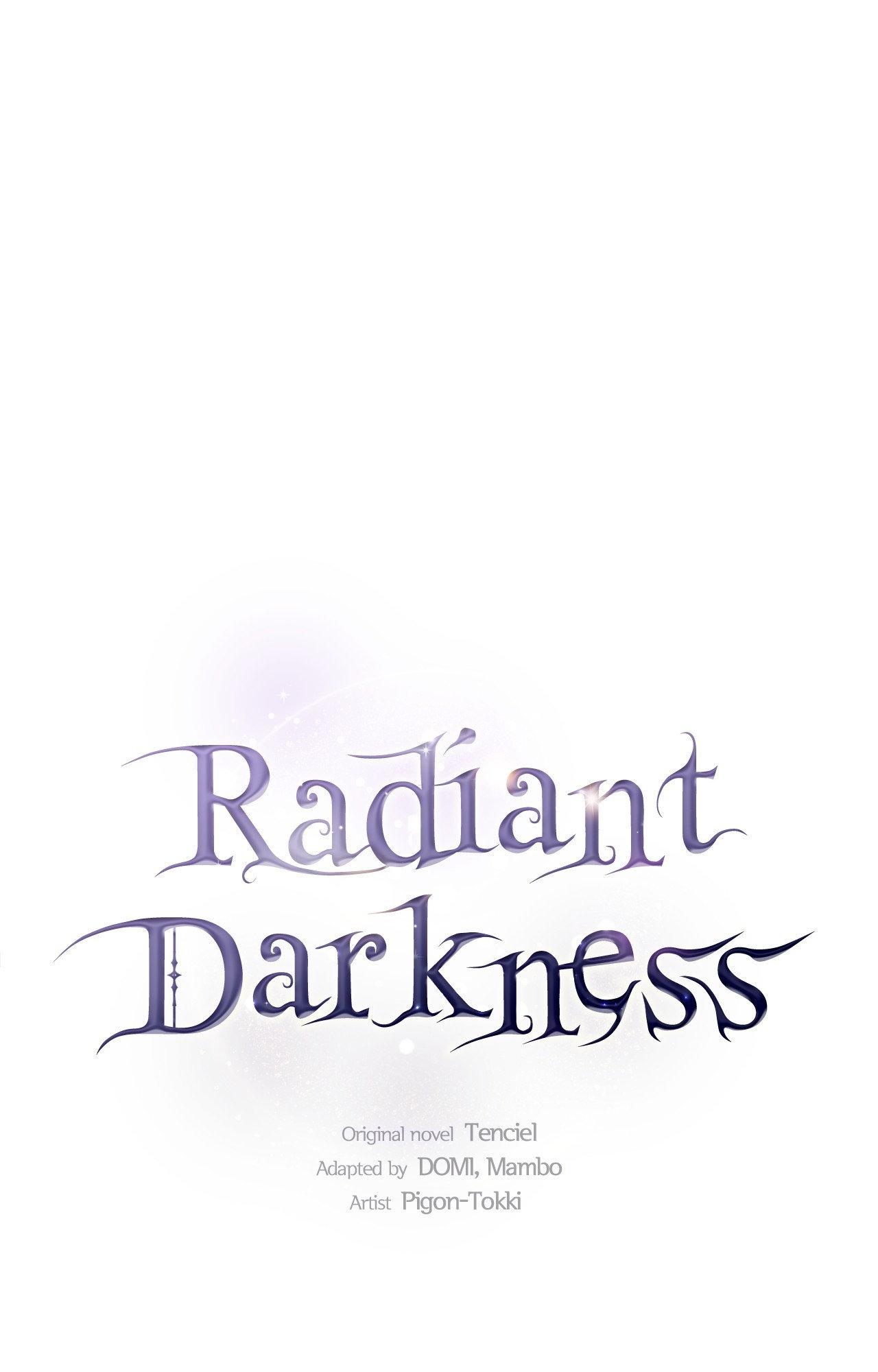 The Brilliant Darkness Chapter 49 page 1 - 