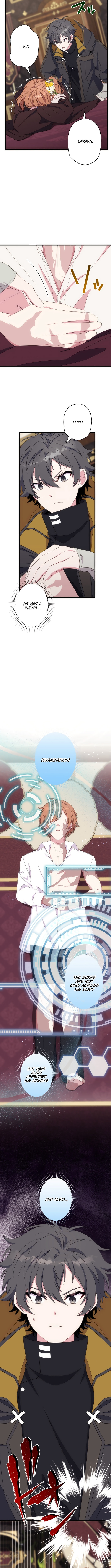 The Brilliant Healer