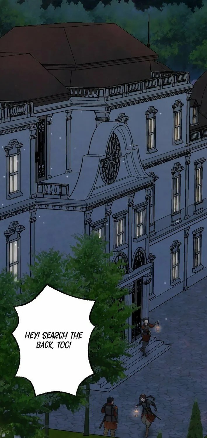 The Brilliant Healer’s New Life in the Shadows Chapter 1 page 4 - 