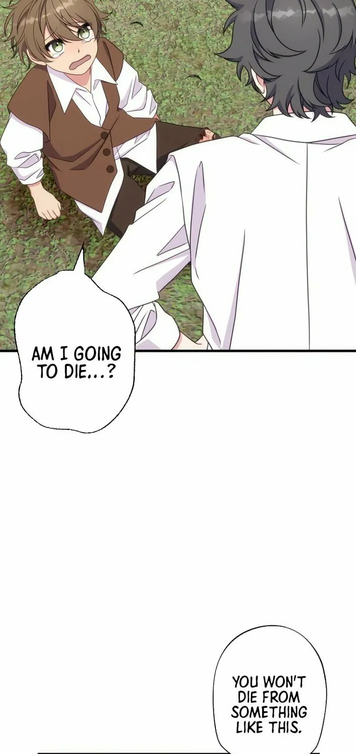 The Brilliant Healer’s New Life in the Shadows Chapter 11 page 47 - 