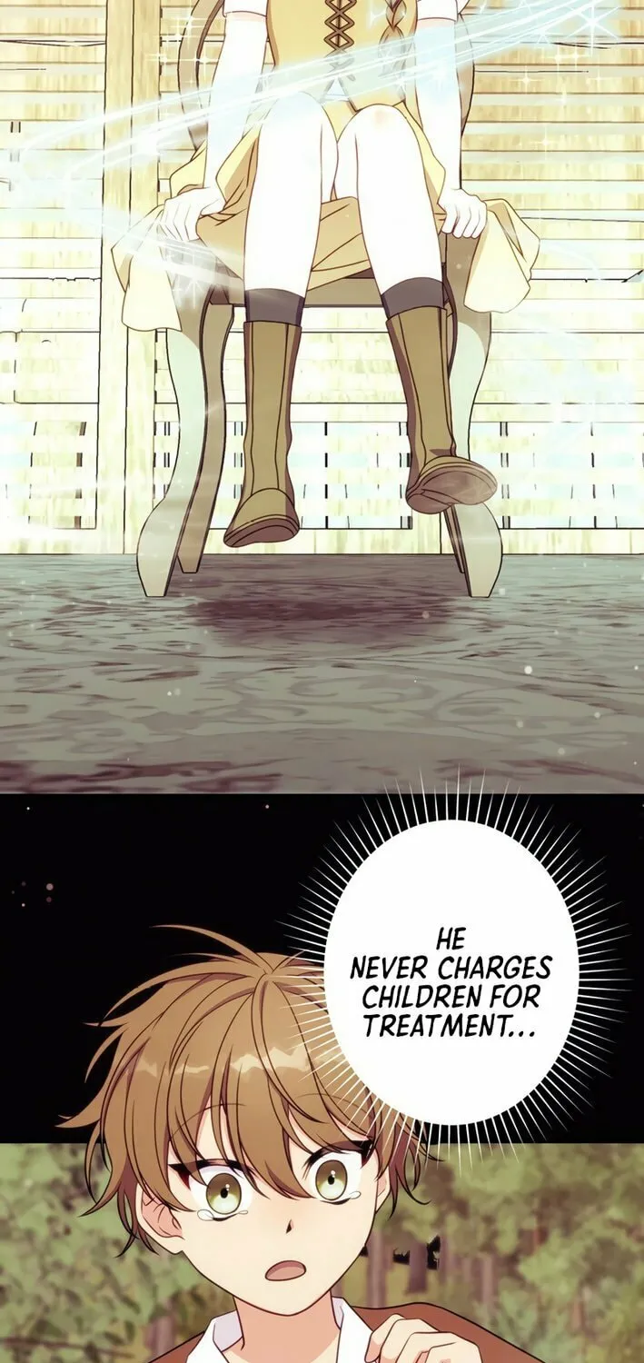 The Brilliant Healer’s New Life in the Shadows Chapter 12 page 26 - 