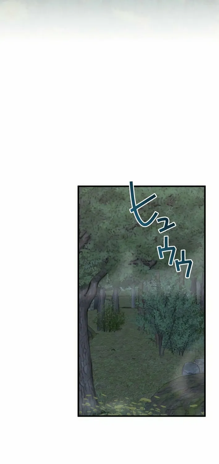 The Brilliant Healer’s New Life in the Shadows Chapter 12 page 66 - 