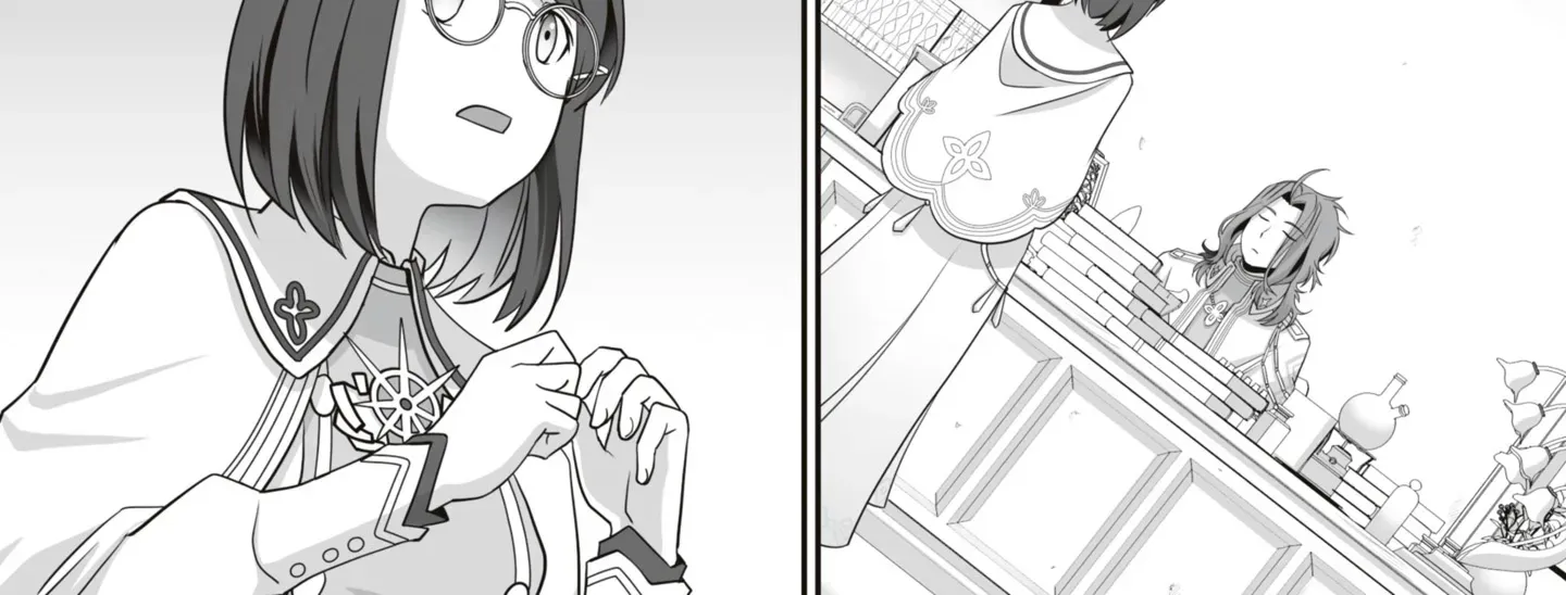 The Brilliant Healer’s New Life in the Shadows Chapter 15.2 page 11 - 
