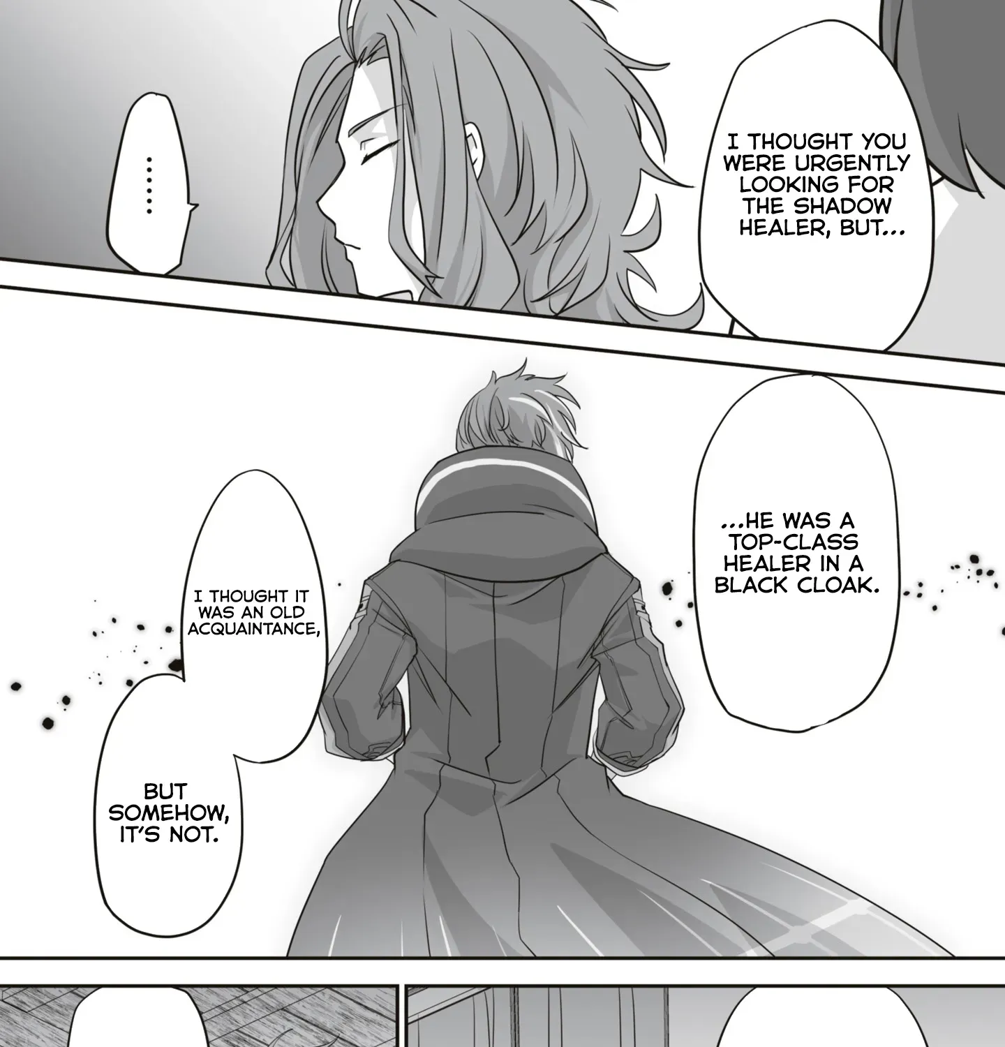 The Brilliant Healer’s New Life in the Shadows Chapter 15.3 page 16 - 
