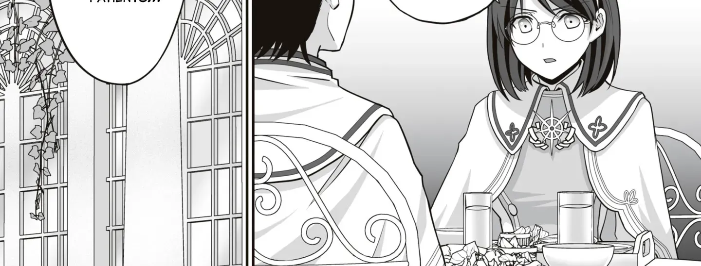The Brilliant Healer’s New Life in the Shadows Chapter 16.3 page 11 - 