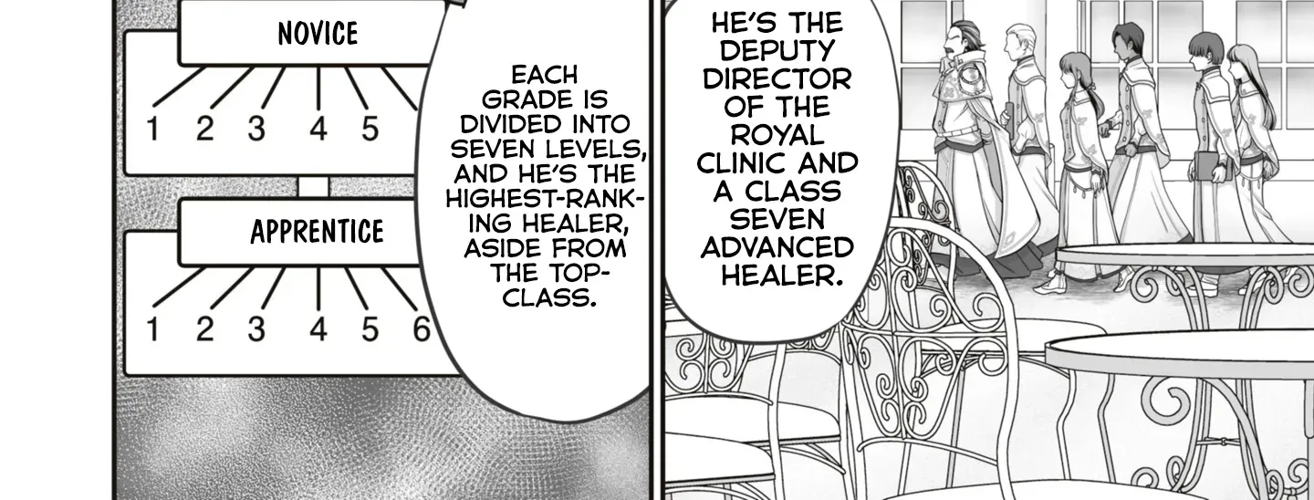 The Brilliant Healer’s New Life in the Shadows Chapter 16.3 page 9 - 