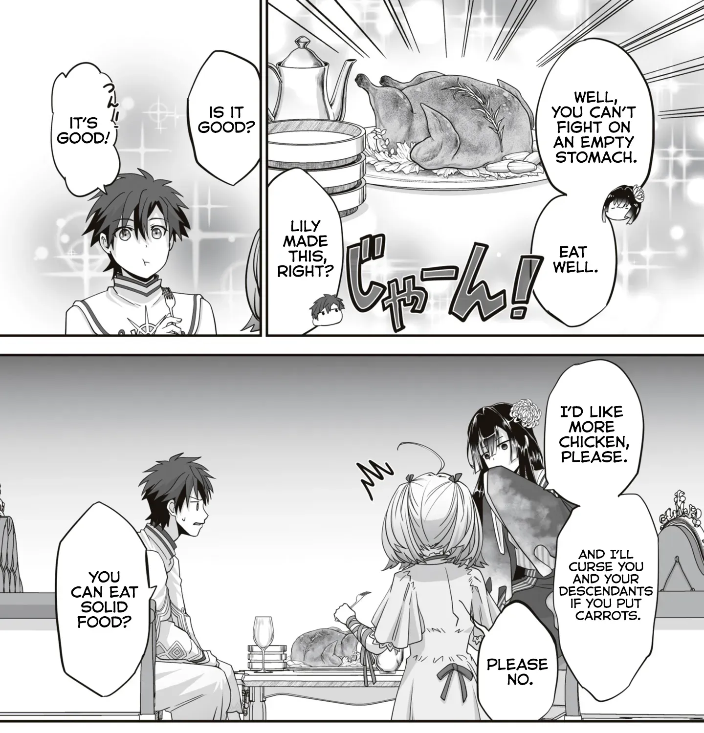 The Brilliant Healer’s New Life in the Shadows Chapter 17.2 page 12 - 