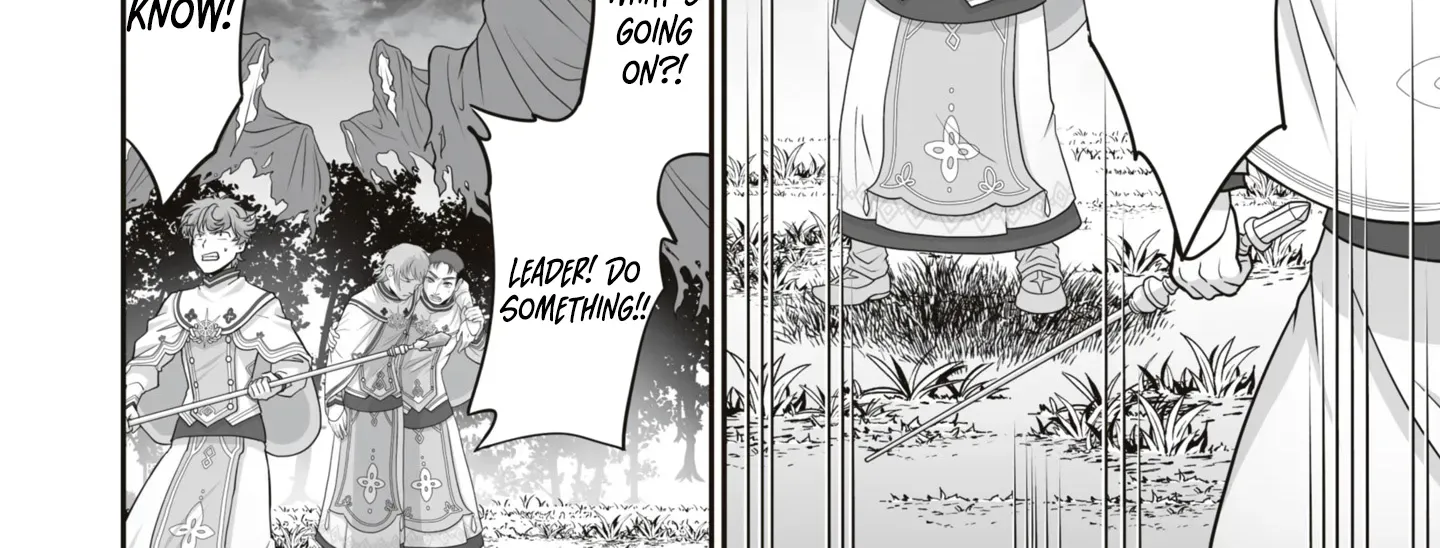 The Brilliant Healer’s New Life in the Shadows Chapter 17.3 page 5 - 