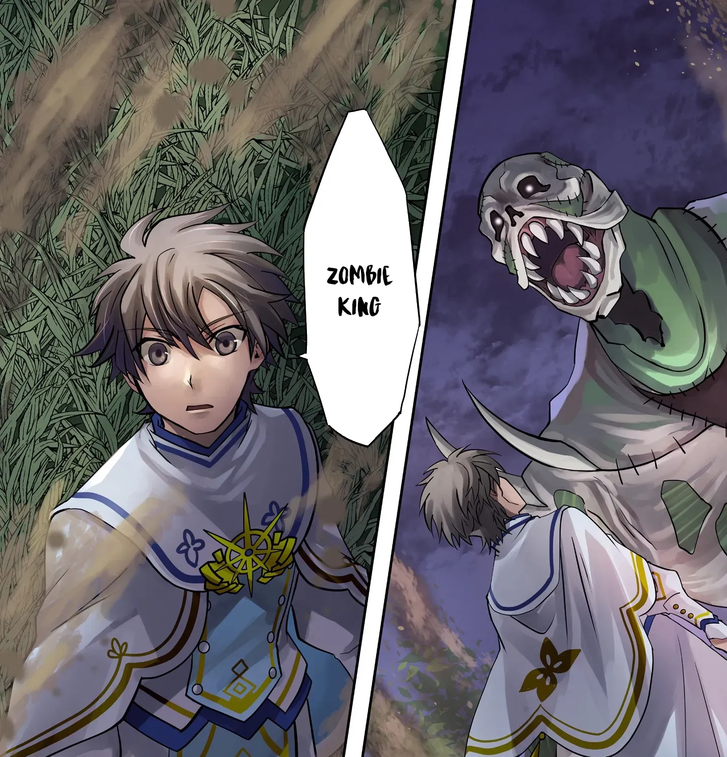 The Brilliant Healer’s New Life in the Shadows Chapter 18.1 page 4 - 