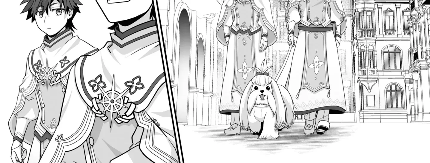 The Brilliant Healer’s New Life in the Shadows Chapter 19.3 page 11 - 