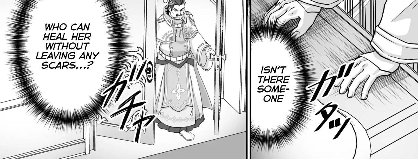 The Brilliant Healer’s New Life in the Shadows Chapter 20.1 page 17 - 
