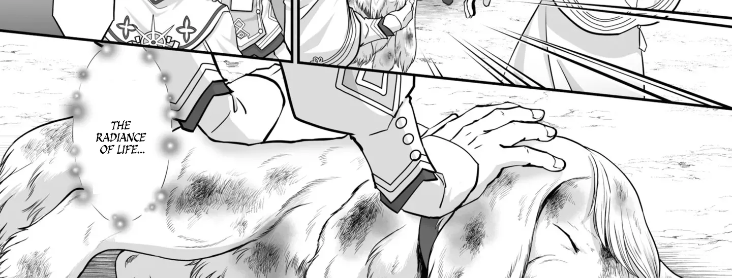 The Brilliant Healer’s New Life in the Shadows Chapter 20.1 page 3 - 