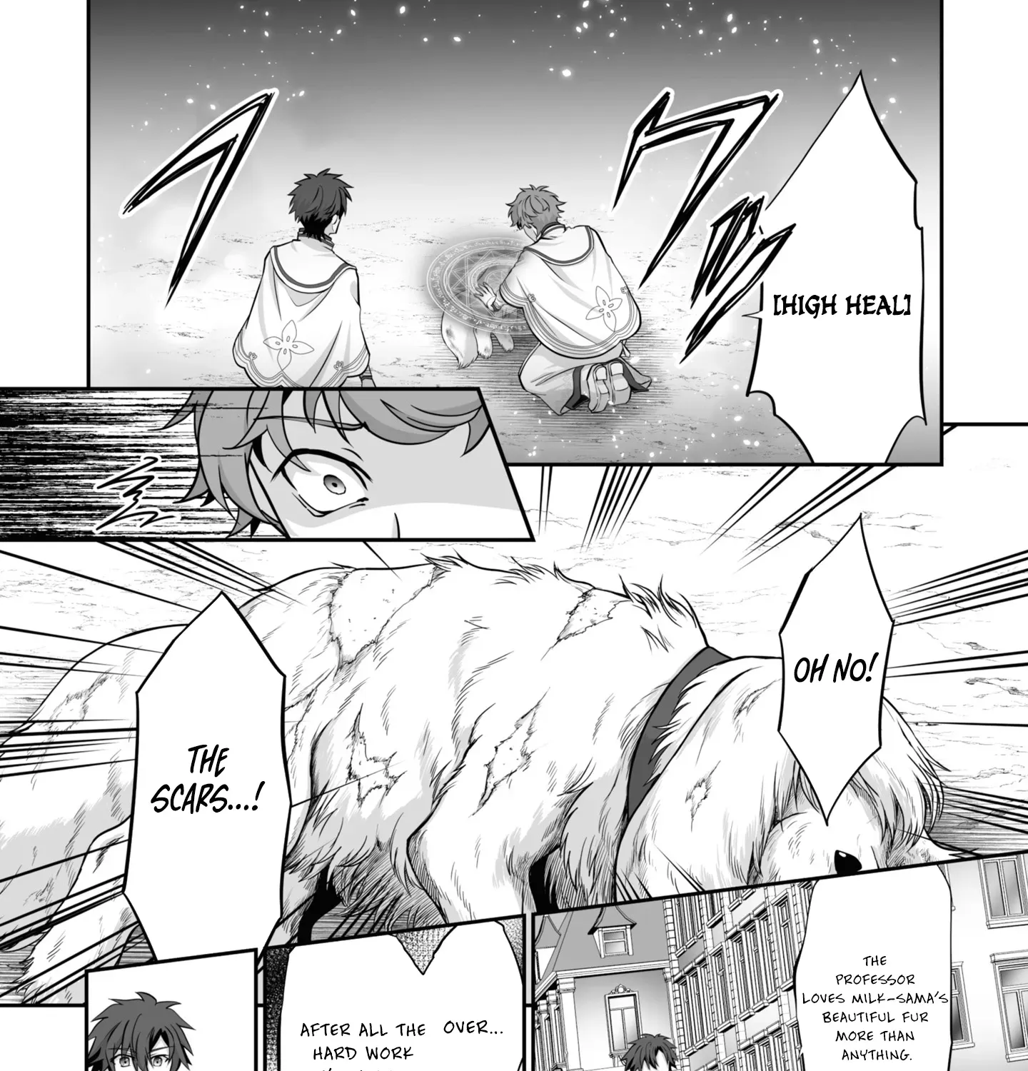 The Brilliant Healer’s New Life in the Shadows Chapter 20.1 page 4 - 