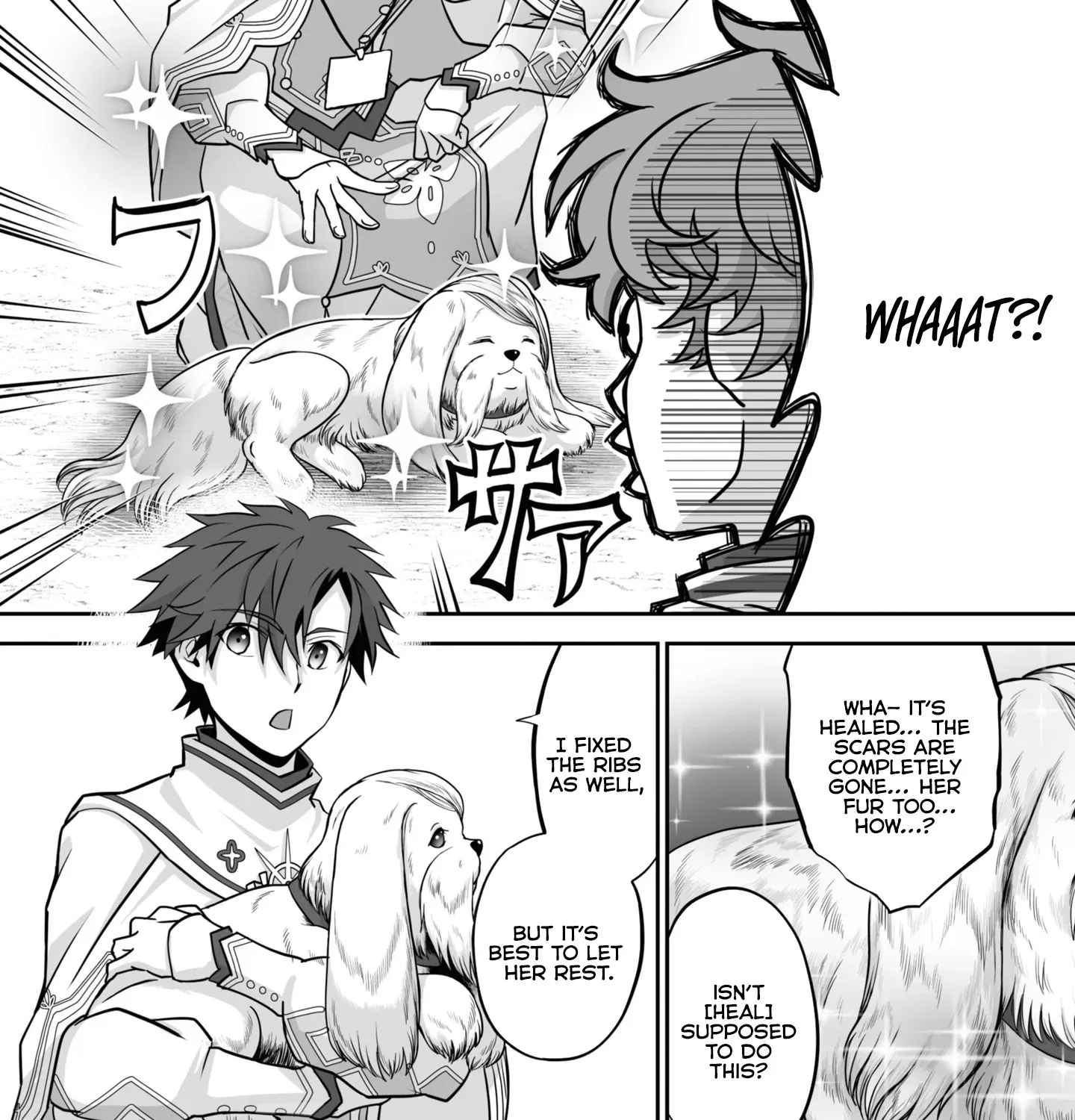 The Brilliant Healer’s New Life in the Shadows Chapter 20.1 page 8 - 
