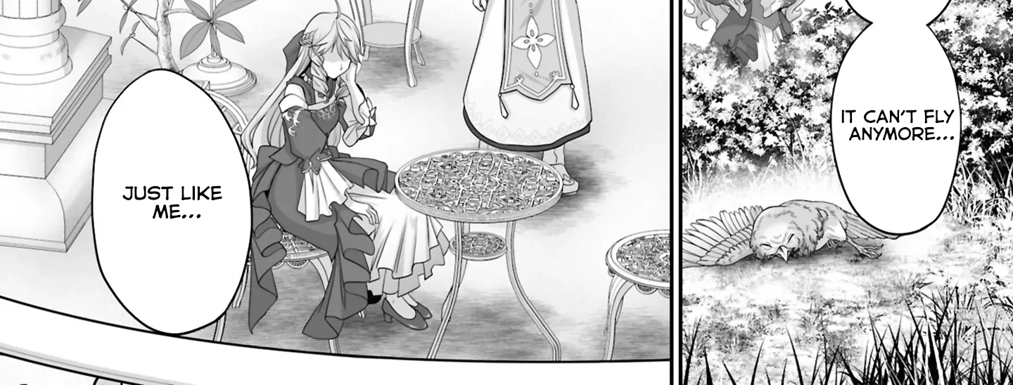 The Brilliant Healer’s New Life in the Shadows Chapter 21.1 page 15 - 