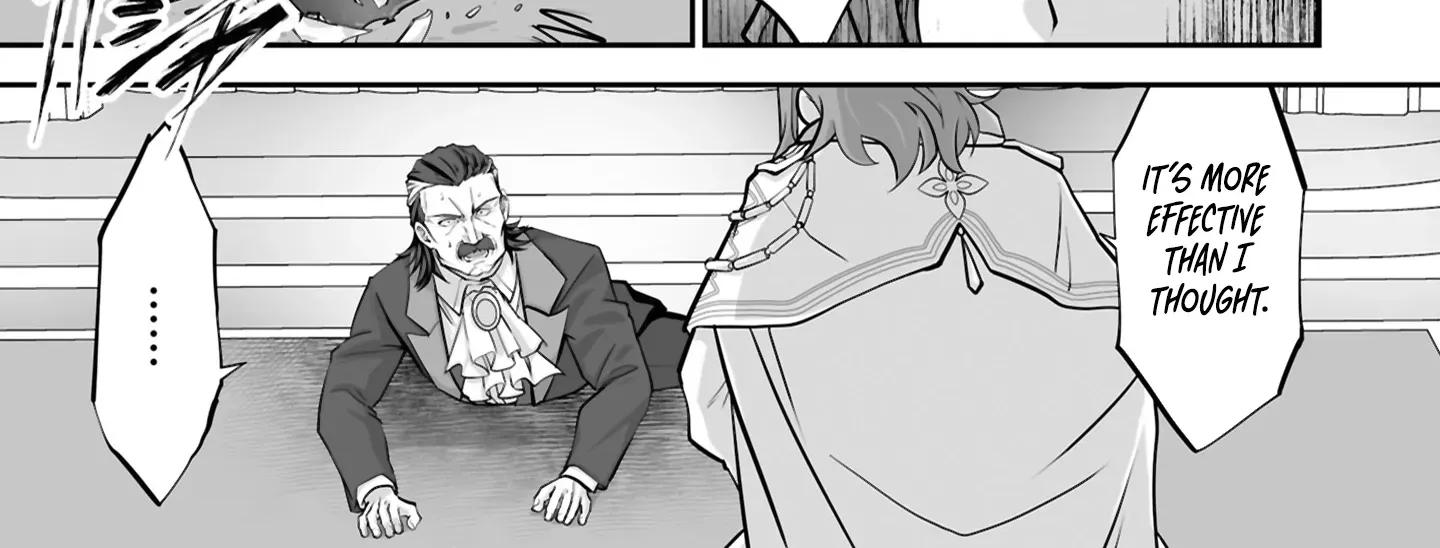 The Brilliant Healer’s New Life in the Shadows Chapter 25.2 page 5 - 