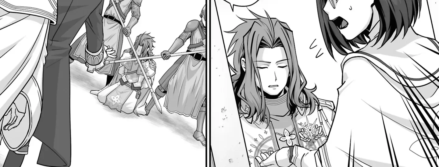 The Brilliant Healer’s New Life in the Shadows Chapter 26.3 page 17 - 