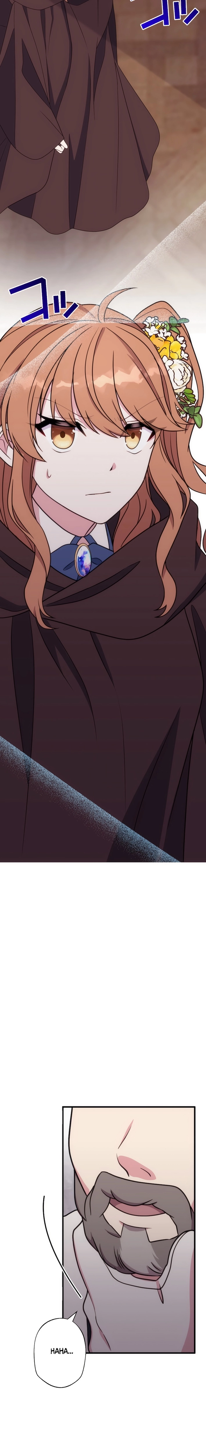 The Brilliant Healer’s New Life in the Shadows Chapter 26 page 13 - 