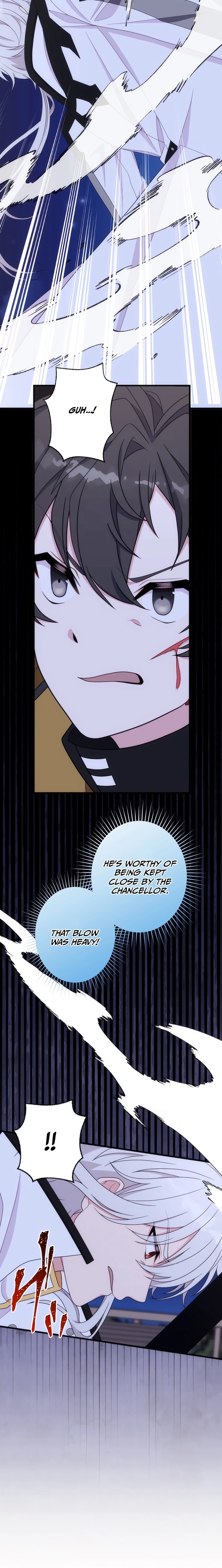 The Brilliant Healer’s New Life in the Shadows Chapter 27 page 13 - 