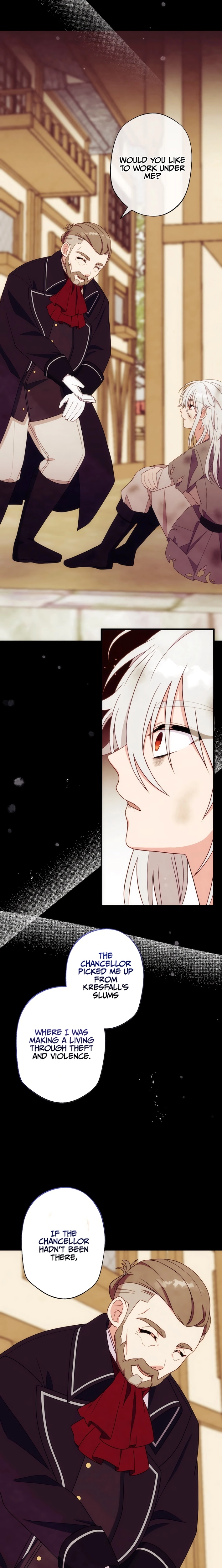 The Brilliant Healer’s New Life in the Shadows Chapter 27 page 17 - 