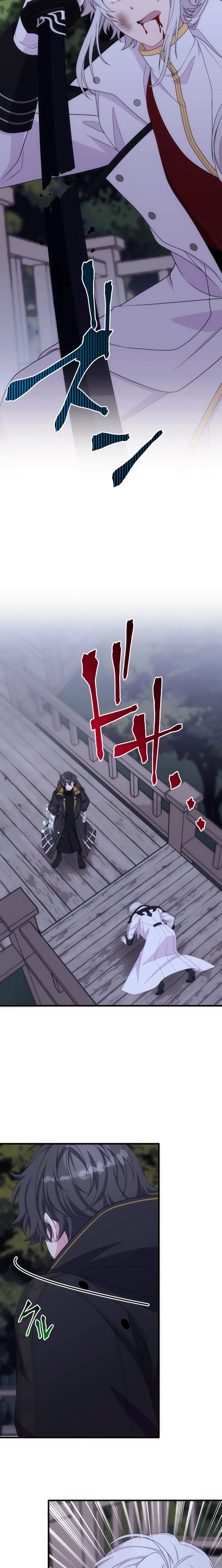 The Brilliant Healer’s New Life in the Shadows Chapter 27 page 26 - 