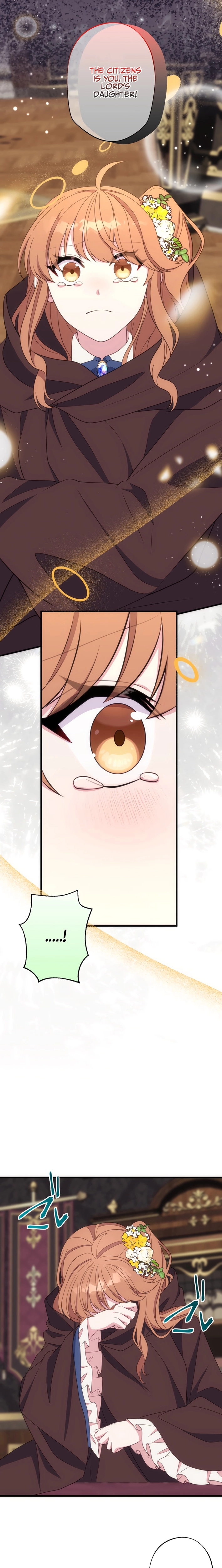 The Brilliant Healer’s New Life in the Shadows Chapter 28 page 17 - 