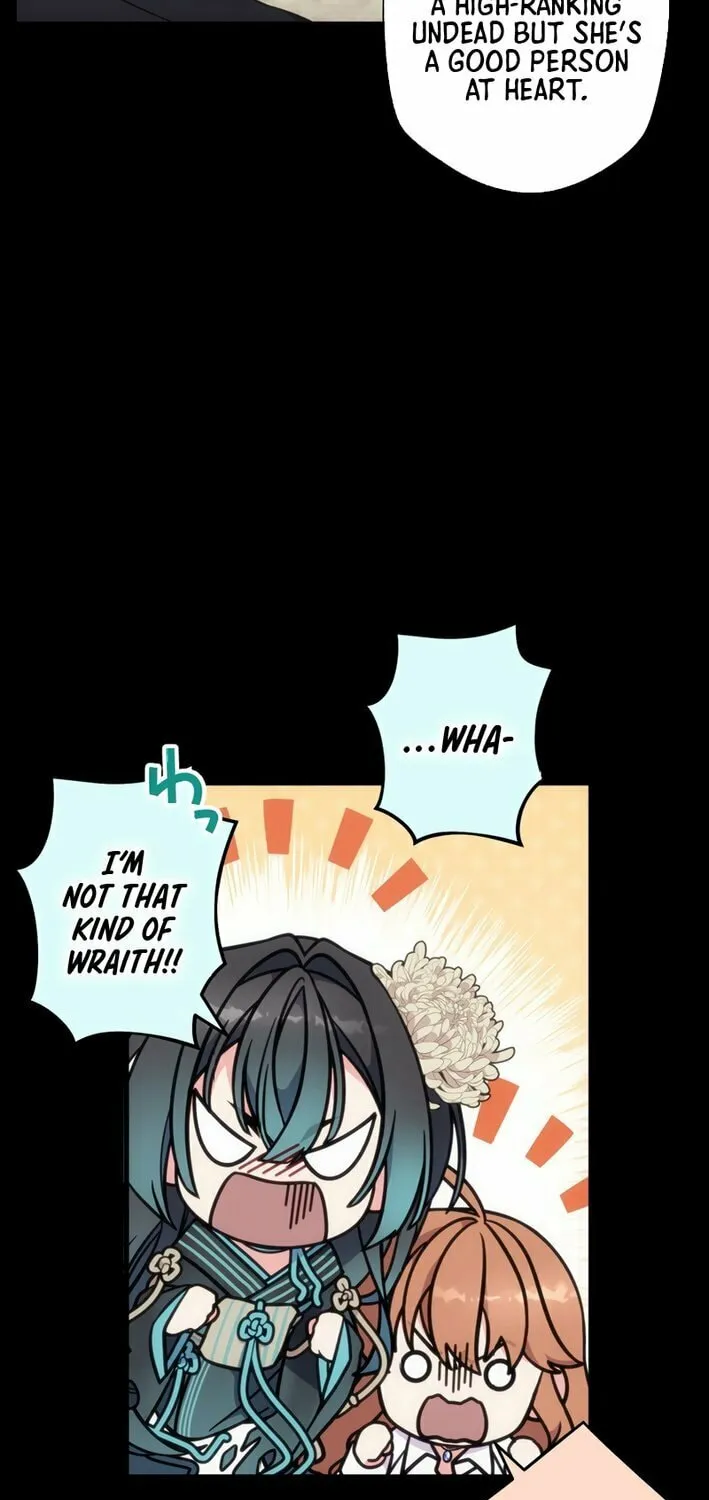 The Brilliant Healer’s New Life in the Shadows Chapter 5 page 50 - 