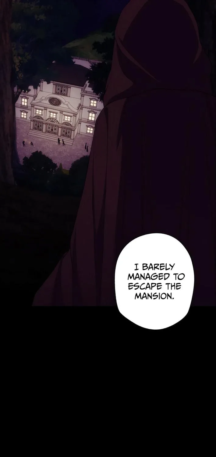 The Brilliant Healer’s New Life in the Shadows Chapter 6 page 83 - 